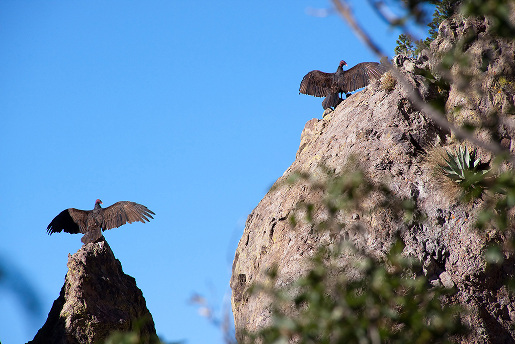 27_Big Bend National Park_06.jpg